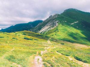 아이폰 케이스 가죽