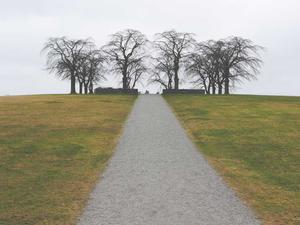 애플 맥북 프로 14인치 M3 Pro 중고